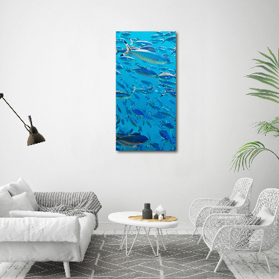 Verticale foto op canvas Koraalvis