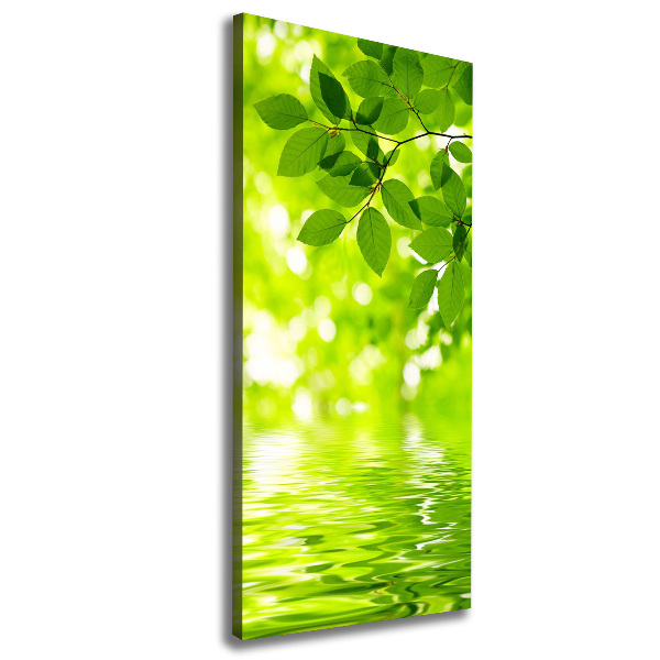 Verticale foto op canvas Groene bladeren