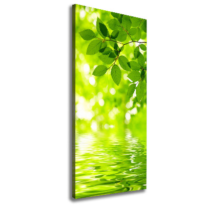 Verticale foto op canvas Groene bladeren