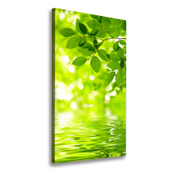 Verticale foto op canvas Groene bladeren
