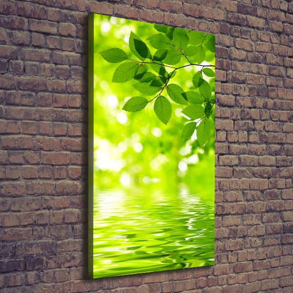Verticale foto op canvas Groene bladeren