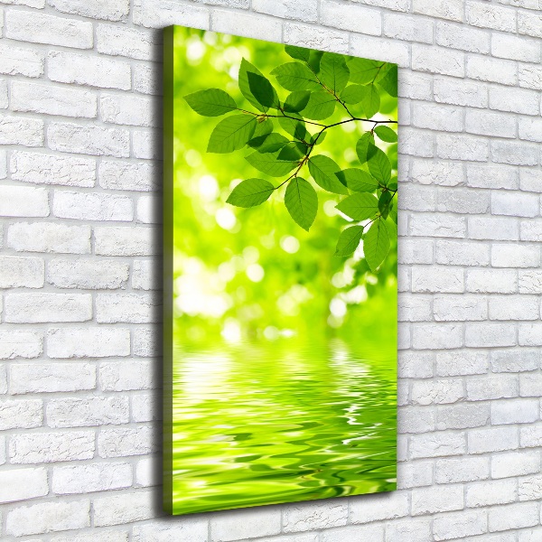 Verticale foto op canvas Groene bladeren