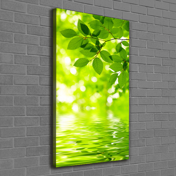 Verticale foto op canvas Groene bladeren