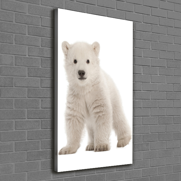 Verticale canvasfoto Ijsbeer