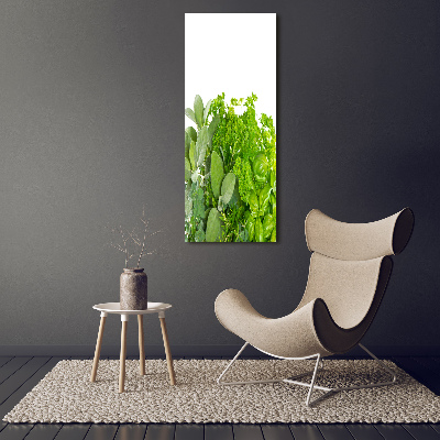 Verticaal schilderij op canvas Kruiden