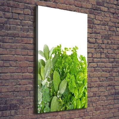 Verticaal schilderij op canvas Kruiden