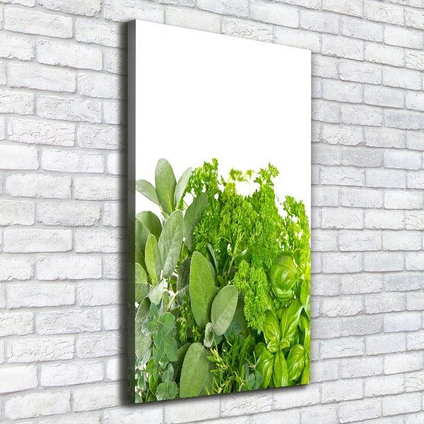 Verticaal schilderij op canvas Kruiden