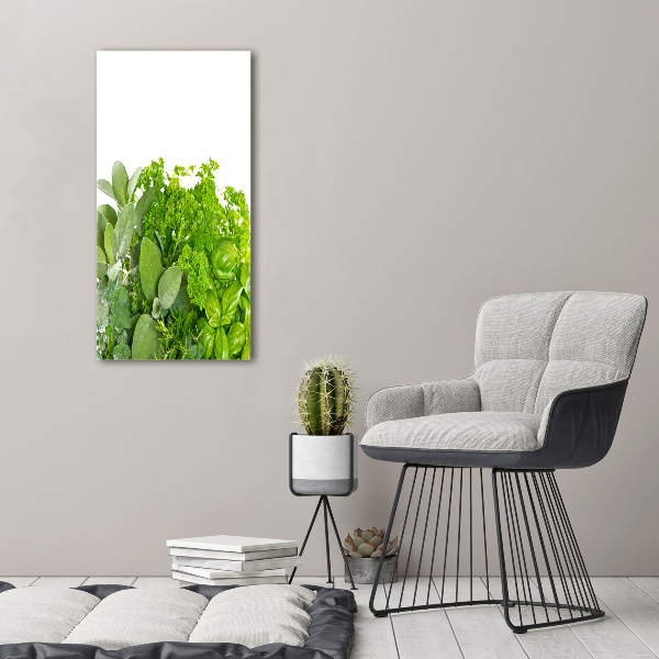 Verticaal schilderij op canvas Kruiden
