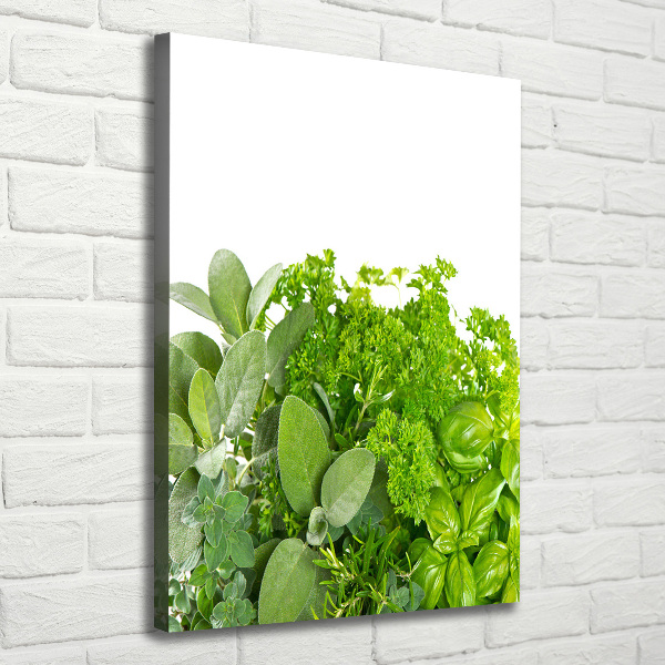 Verticaal schilderij op canvas Kruiden