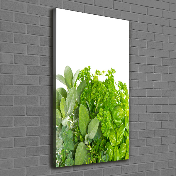 Verticaal schilderij op canvas Kruiden