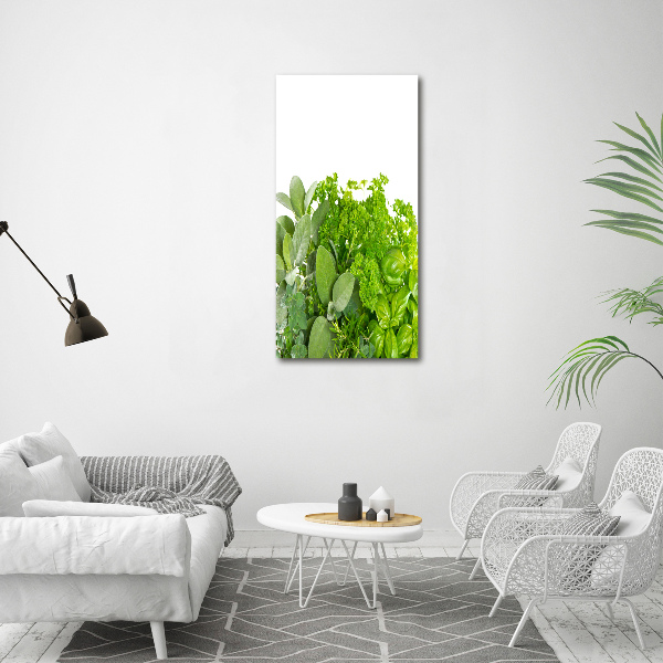 Verticaal schilderij op canvas Kruiden