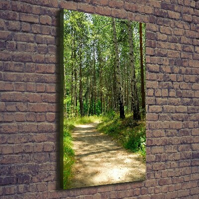 Verticaal schilderij op canvas Berkenbos