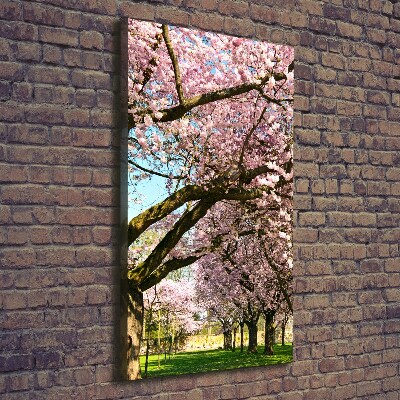 Foto obraz canvas pionowy Drzewa wiśni