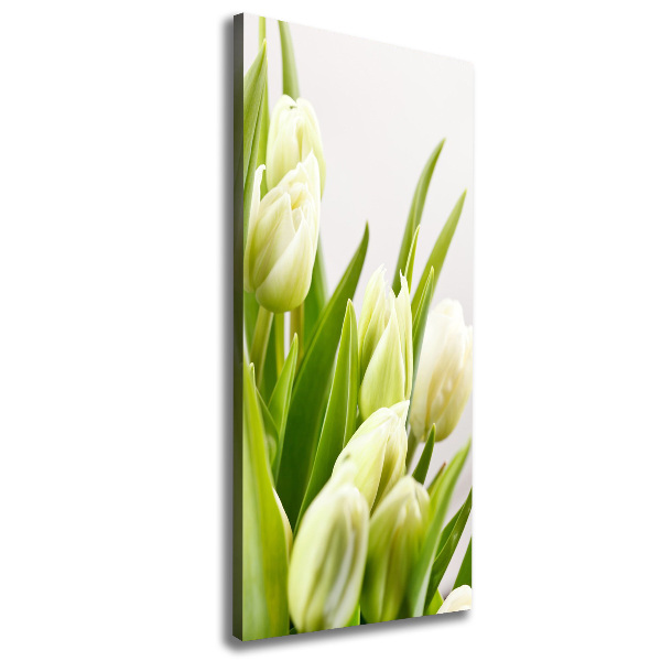 Verticale foto op canvas Witte tulpen