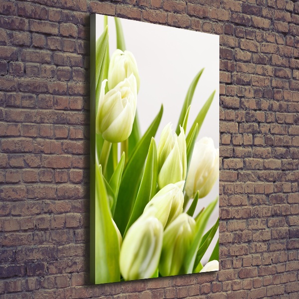 Verticale foto op canvas Witte tulpen