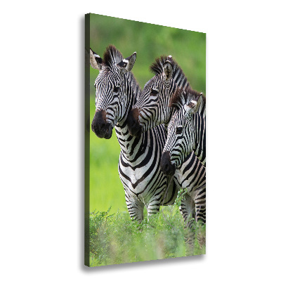 Verticale canvasfoto Drie zebra's
