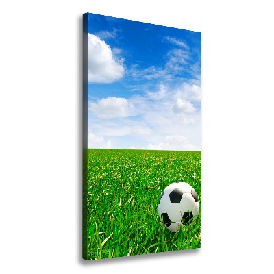 Verticale foto op canvas Voetbal op het veld