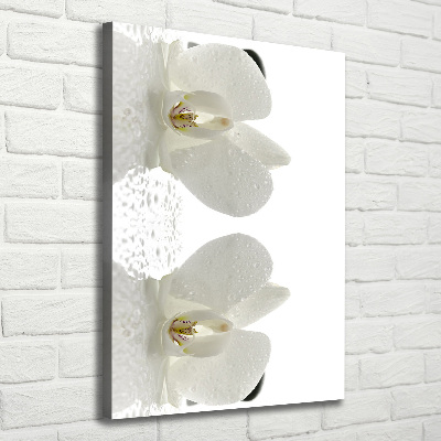 Verticaal schilderij op canvas Orchidee en stenen