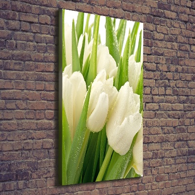 Verticale foto op canvas Witte tulpen