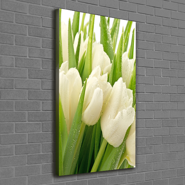 Verticale foto op canvas Witte tulpen