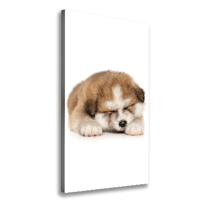 Verticale foto op canvas Akita-puppy