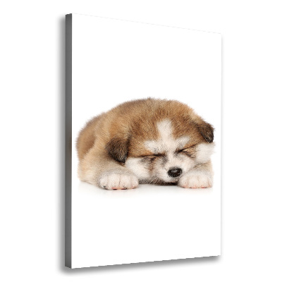 Verticale foto op canvas Akita-puppy