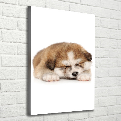 Verticale foto op canvas Akita-puppy