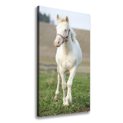 Verticale canvasfoto Albino paard