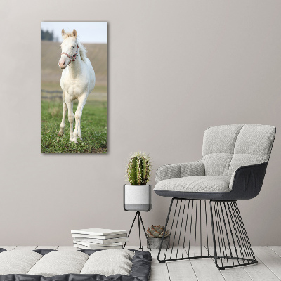 Verticale canvasfoto Albino paard
