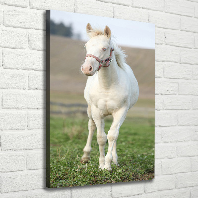Verticale canvasfoto Albino paard