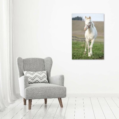 Verticale canvasfoto Albino paard