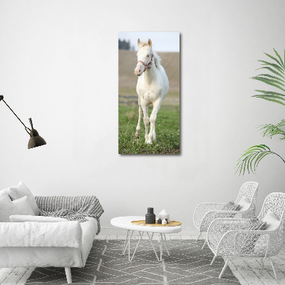 Verticale canvasfoto Albino paard