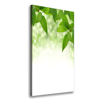 Verticale foto op canvas Groene bladeren