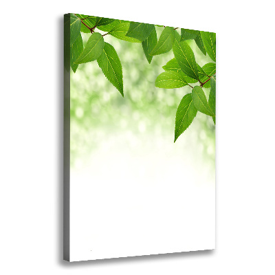 Verticale foto op canvas Groene bladeren