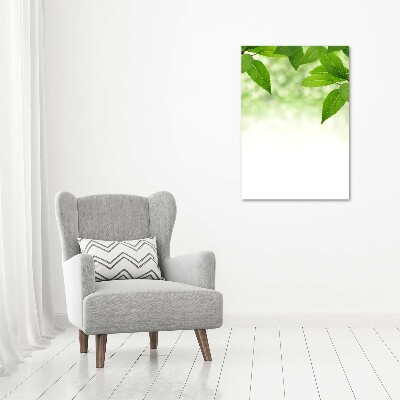 Verticale foto op canvas Groene bladeren