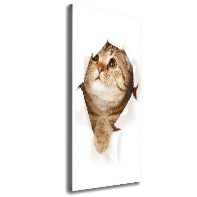 Verticaal canvasschilderij Kat