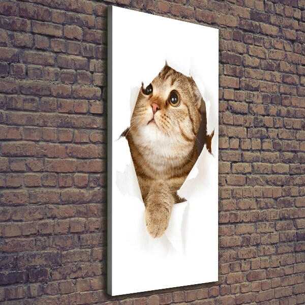 Verticaal canvasschilderij Kat