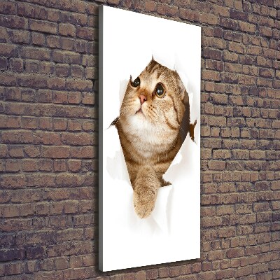 Verticaal canvasschilderij Kat