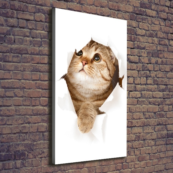 Verticaal canvasschilderij Kat