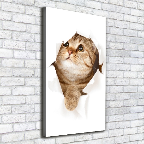 Verticaal canvasschilderij Kat