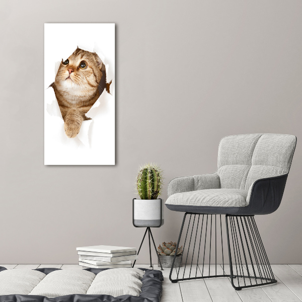 Verticaal canvasschilderij Kat