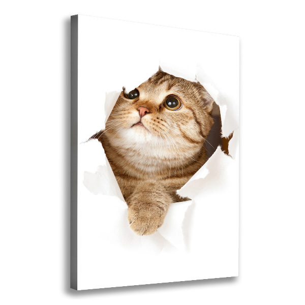 Verticaal canvasschilderij Kat