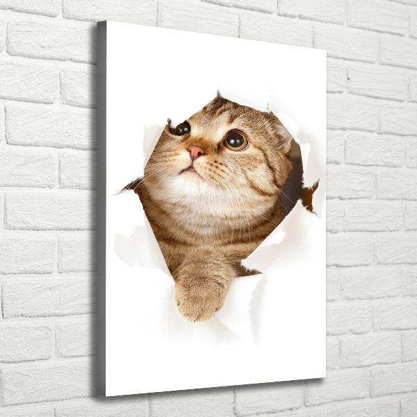 Verticaal canvasschilderij Kat