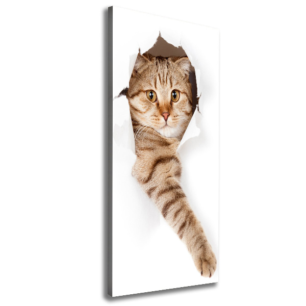 Verticaal schilderij op canvas Kat