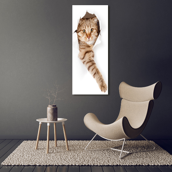 Verticaal schilderij op canvas Kat