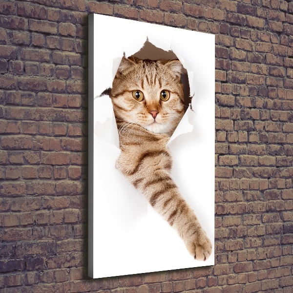 Verticaal schilderij op canvas Kat