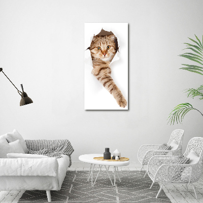 Verticaal schilderij op canvas Kat