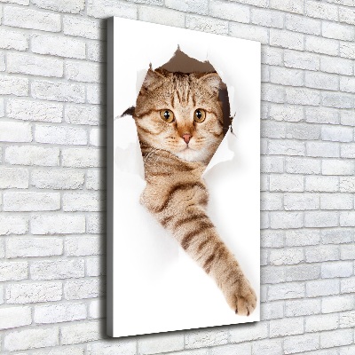 Verticaal schilderij op canvas Kat