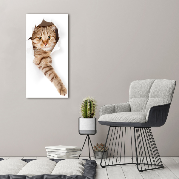 Verticaal schilderij op canvas Kat