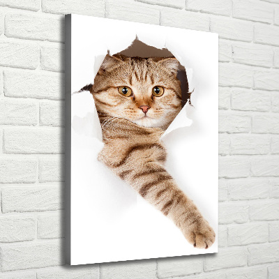 Verticaal schilderij op canvas Kat
